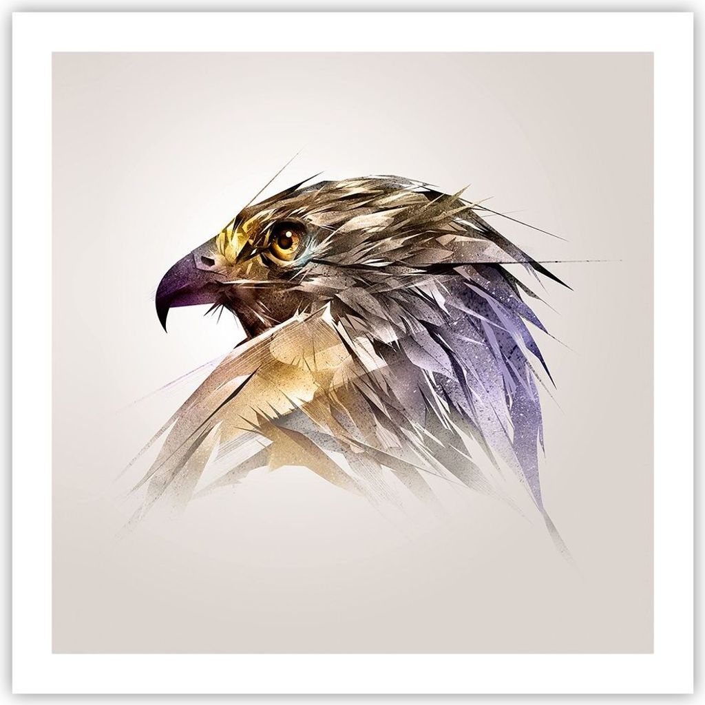 Poster - Poster ohne Rahmen - Adler Vogel Feder - 60x60 cm Produktbild 