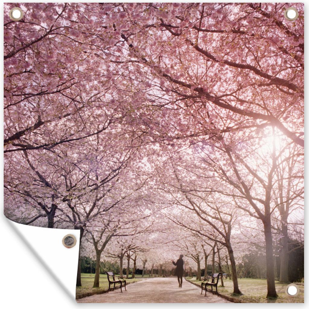 MuchoWow 80x60 cm Outdoor-Poster Gartendeko Sichtschutz Garten Poster für den Garten Sakura-Bäume an einem klaren Tag