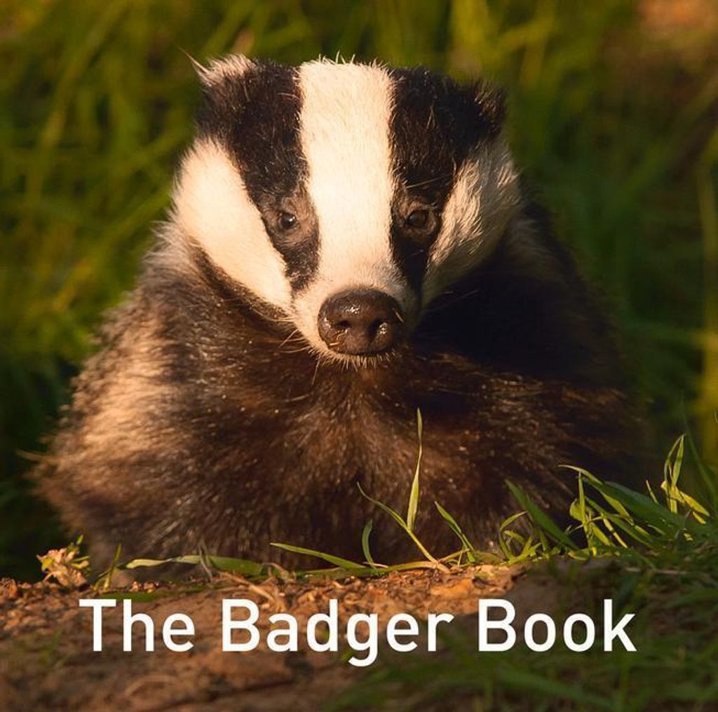 Nature Book Series: The Badger Book