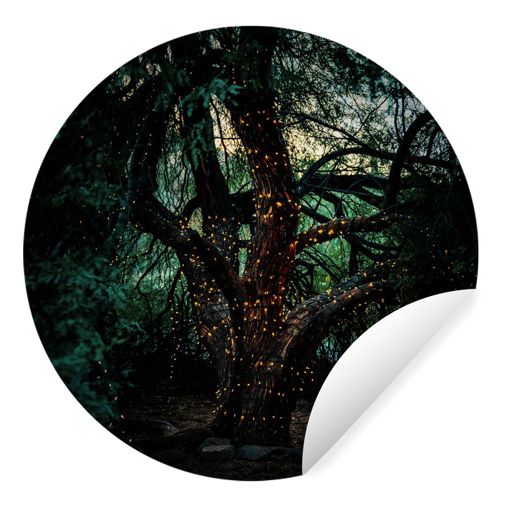 MuchoWow Runde Wandtattoo - Wandsticker Tapete Aufkleber Baum - Glühwürmchen - Natur Ø 30 cm Selbstklebend und Repositionierbar - Wandaufklebe...
