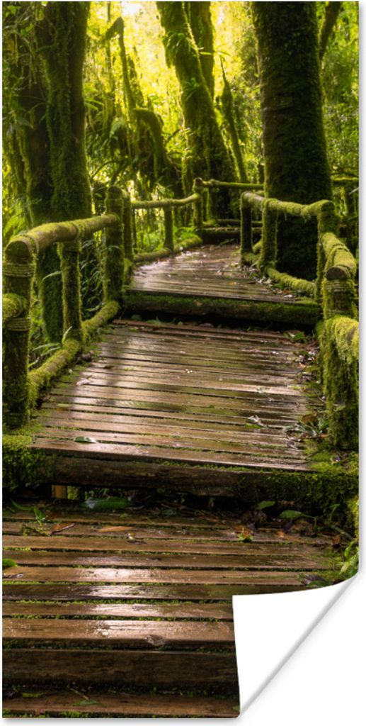 MuchoWow Poster Schöner Regenwald und Dschungel 80x160 cm - Kinderzimmer