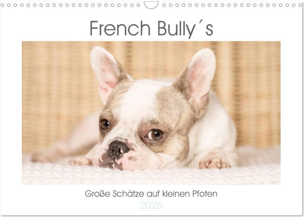 French Bully ́s - Große Schätze auf kleinen Pfoten (Wandkalender 2026 DIN A3 quer), CALVENDO Monatskalender