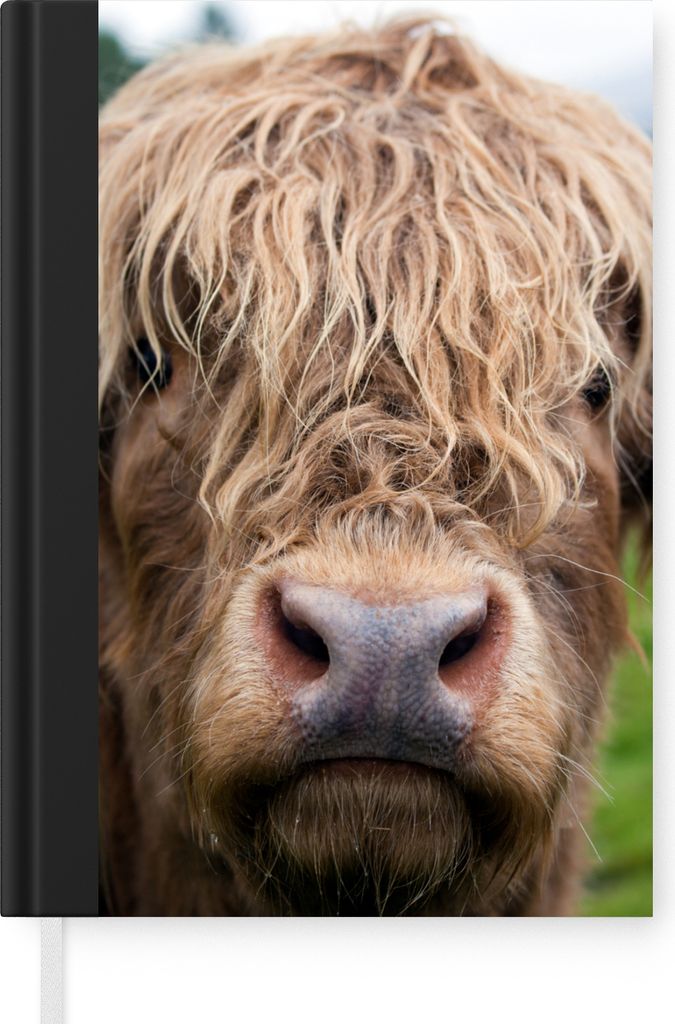 MuchoWow Notizbuch Tagebuch Haushaltsbuch Notebook A5 Schottische Highlander - Gras - Wald - Notizblock - Notizheft - Notebook - Schreibblock - P...