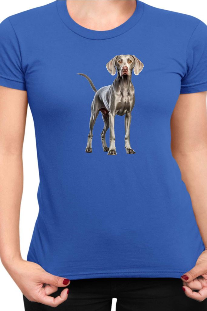 Damen T-Shirt Dogs Breeds Weimaraner Dog Breed 005, Lady XL / Blau
