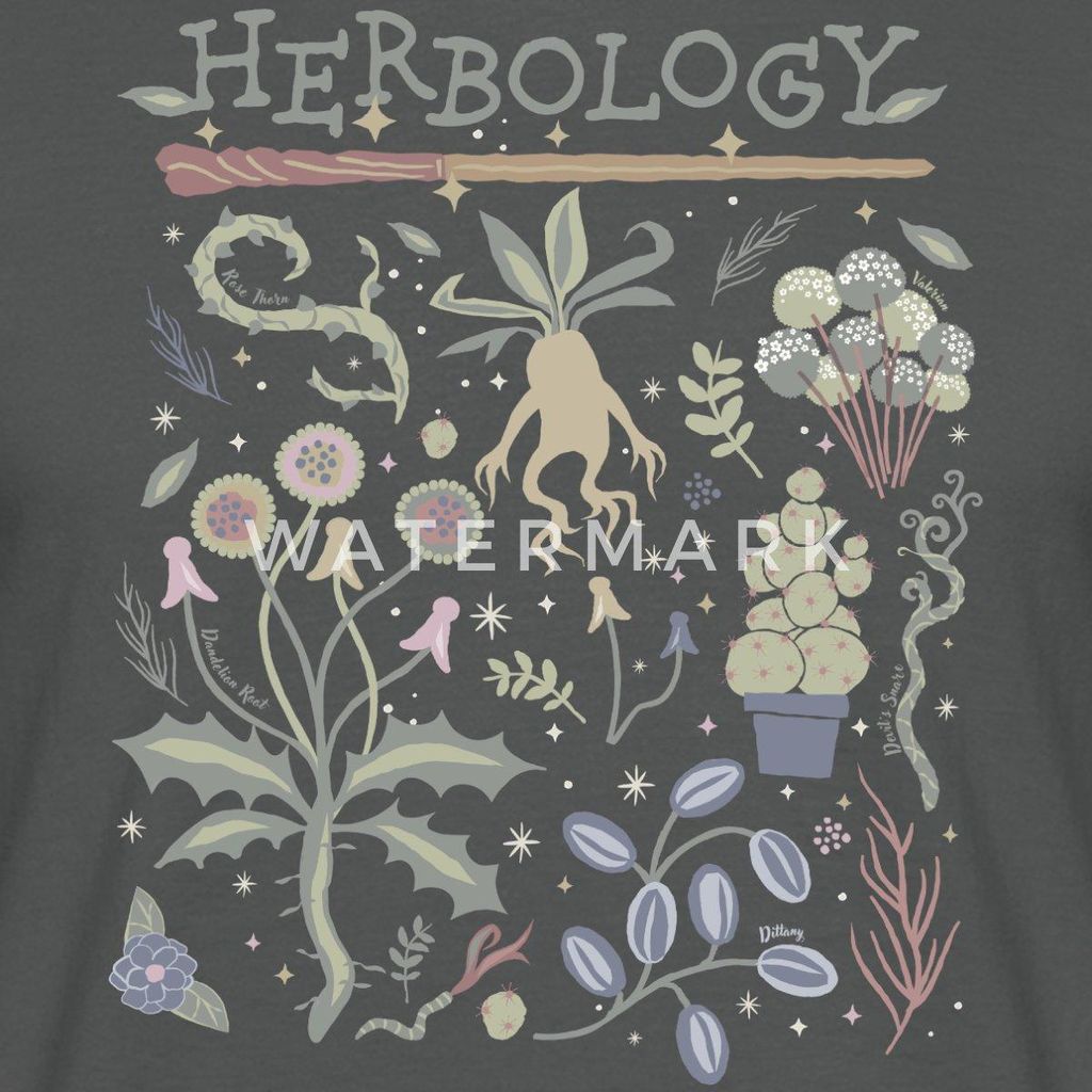 Spreadshirt Harry Potter Herbology Botanische Kräuter Design Männer T-Shirt, XXL, Anthrazit