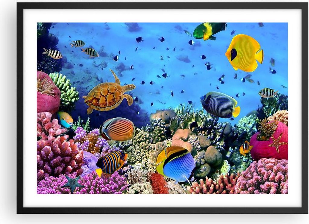 Gerahmtes Poster - Schwarzer Rahmen - Korallenriff - 70x50 cm - Wand Bild - Wanddeko - Wandbilder - Kunstposter - Wandposter - Bilderrahmen - Bilde...