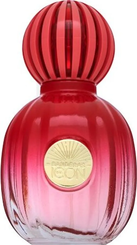 Parfum Femme Longue Tenue The Icon Antonio Banderas 50 ml pour le Bureau