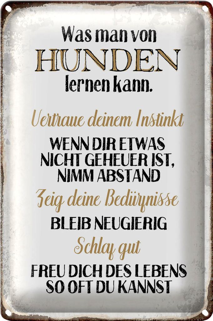 Blechschild Spruch 18x12cm was man von Hunden lernen kann