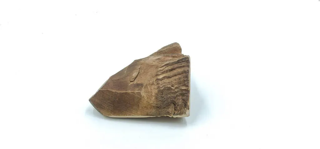 Os Briar Root en bois de bruyère résistant pour chien format S - 5