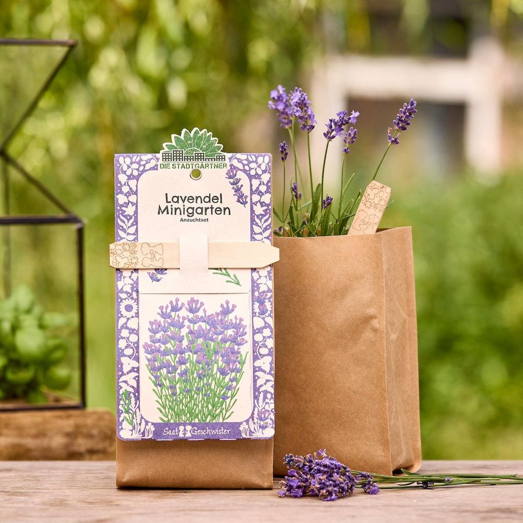 Anzuchtset Minigarten -Lavendel EU-BIO Komplettset mit Erde