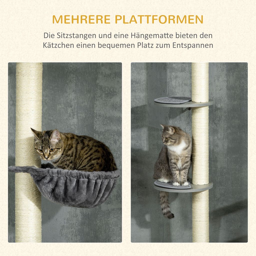 PawHut Kratzbaum, Katzenkratzbaum Deckenhoch, 230-250 cm, Produktbild 5