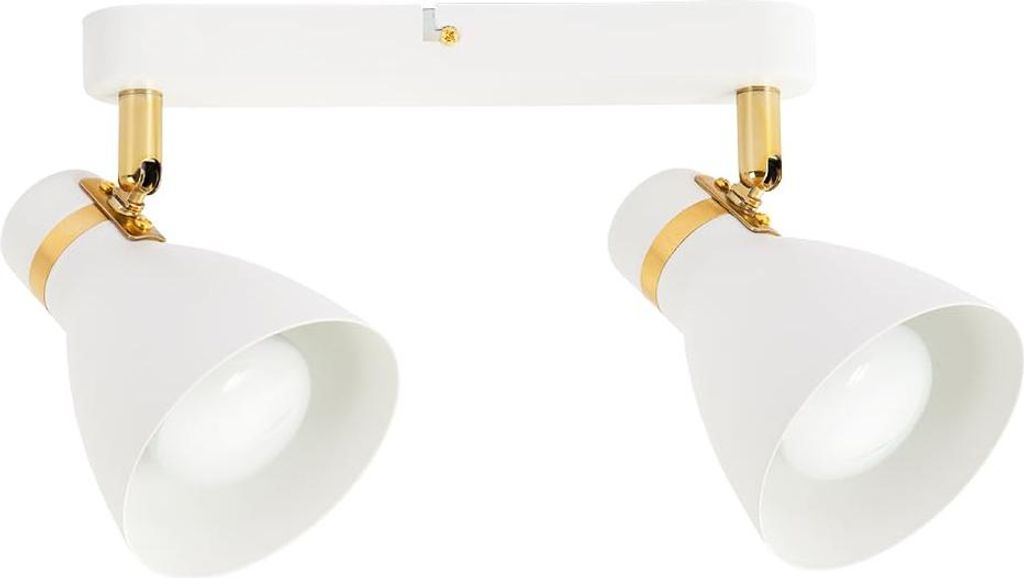 ARTE LAMP LED Lampe mit 2 Spotleuchten - Deckenstrahler mit Produktbild 