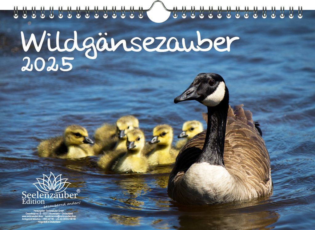Wildgänsezauber DIN A4 Kalender für 2025 Wildgänse - Seelenzauber