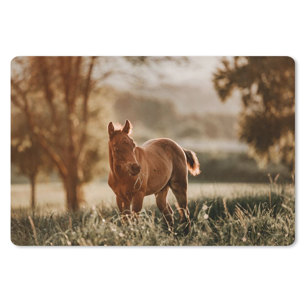 MuchoWow Schreibtischunterlage Pferd - Licht - Natur 60x40 cm - XXL Mauspad - Großes Mauspad
