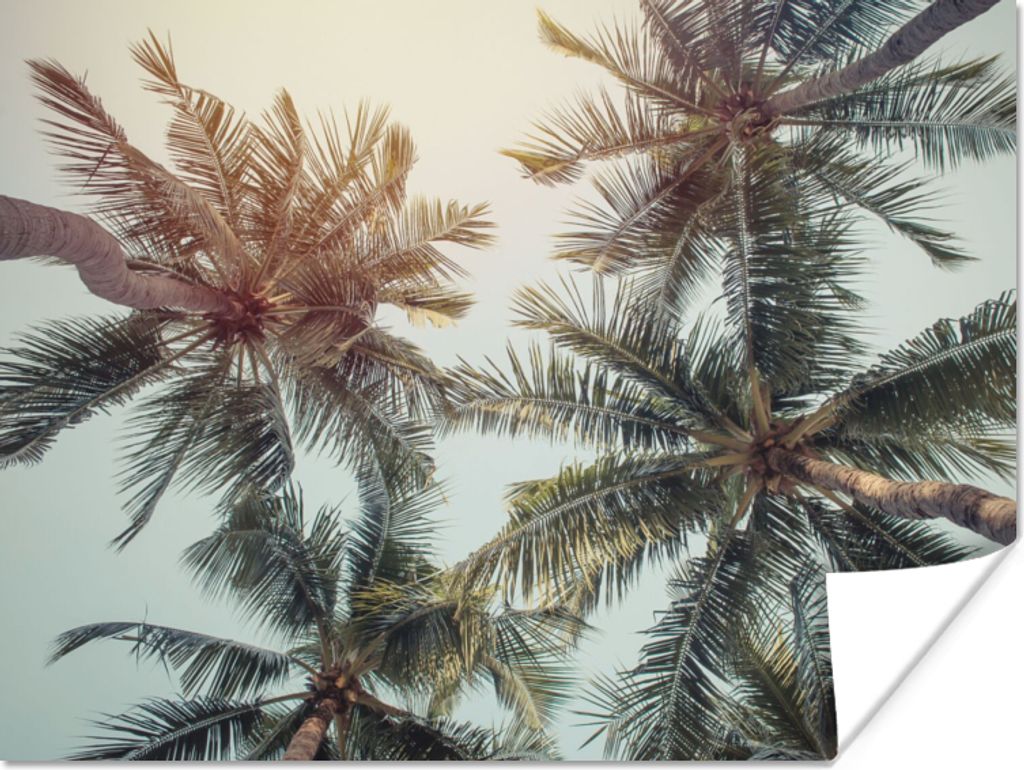 MuchoWow Poster Palme - Sommer - Tropisch 40x30 cm - Plakate für die Wände - Poster Wohnzimmer