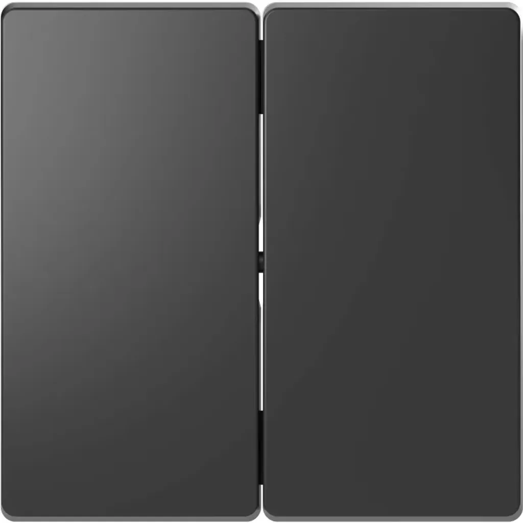Commande Éclairage Double Merten Anthracite pour Salon et Chambre