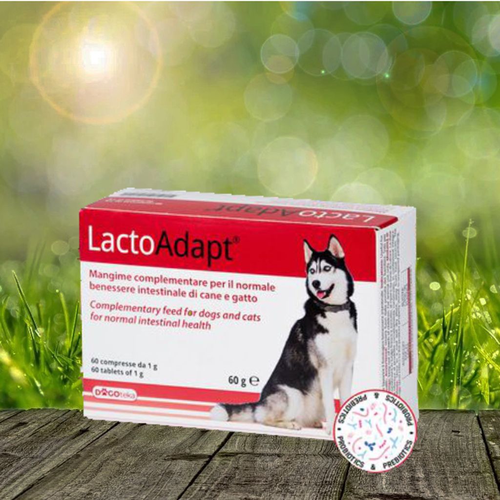 Dogoteka - New LactoAdapt - 15 Stück für optimale Darmgesundheit