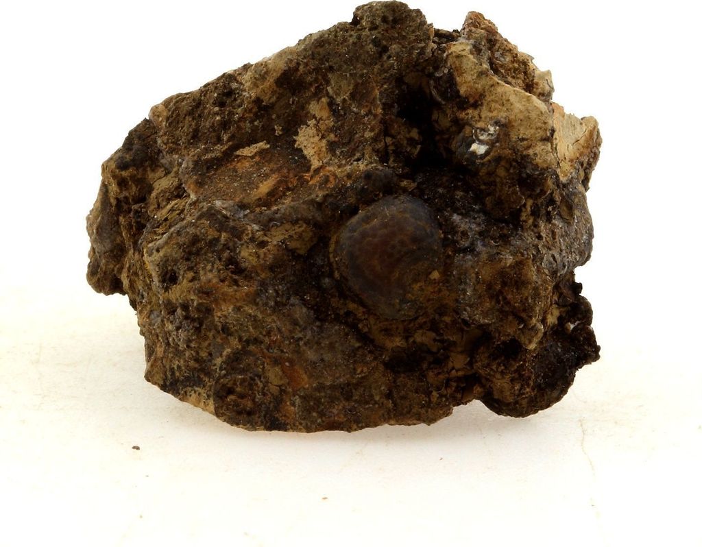 Lussatit (Opal-CT) 52,0 Karat
