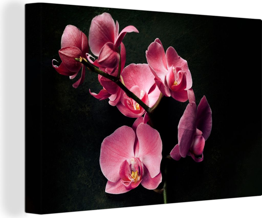 OneMillionCanvasses - Leinwandbilder - 140x90 cm, Pflanzen - Orchidee - Blumen - Rosa, Wandbilder Kunstdruck Wanddekoration - Foto auf Leinwand -...