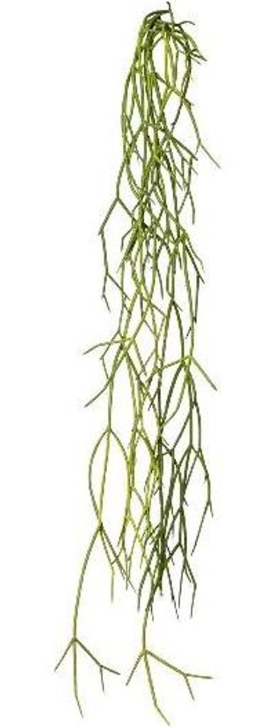 artplants.de Deko Sukkulente Rhipsalis WUNKE, Steckstab, hängend, grün, 60cm - Künstliche Sukkulente