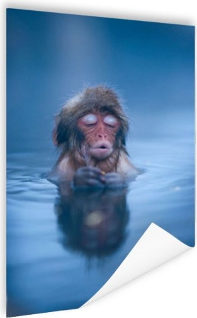 MuchoWow Poster Wasser - Affe - Spiegelung - Tiere 120x180 cm - Kunstposter