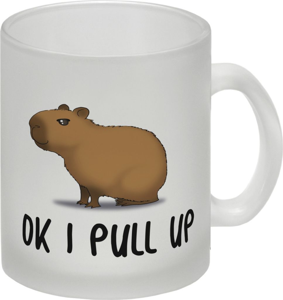Ok I pull up normales Capybara Meme Glas Tasse