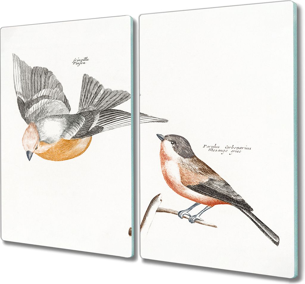 Coloray Herdabdeckplatte 2x30x52 cm Schneidebrett Kochplattenabdeckung Küchenbrett Hackbrett - Tier Vogel Zweig