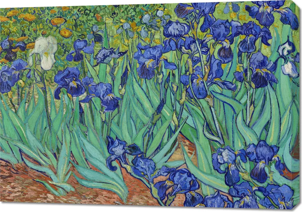 Toile Imprimée Iris Van Gogh Vintage 100x70 cm pour Grand Salon Chic