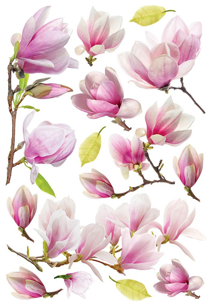 Sanders & Sanders Wandtattoo Blüte Rosa 42.5 x 65 cm