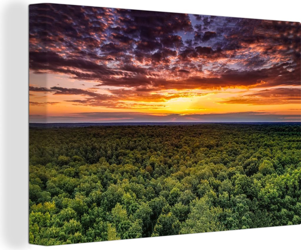 OneMillionCanvasses - Leinwandbilder - 140x90 cm, Wald - Nacht - Himmel - Horizont - Bäume, Wandbilder Kunstdruck Wanddekoration - Foto auf Lein...
