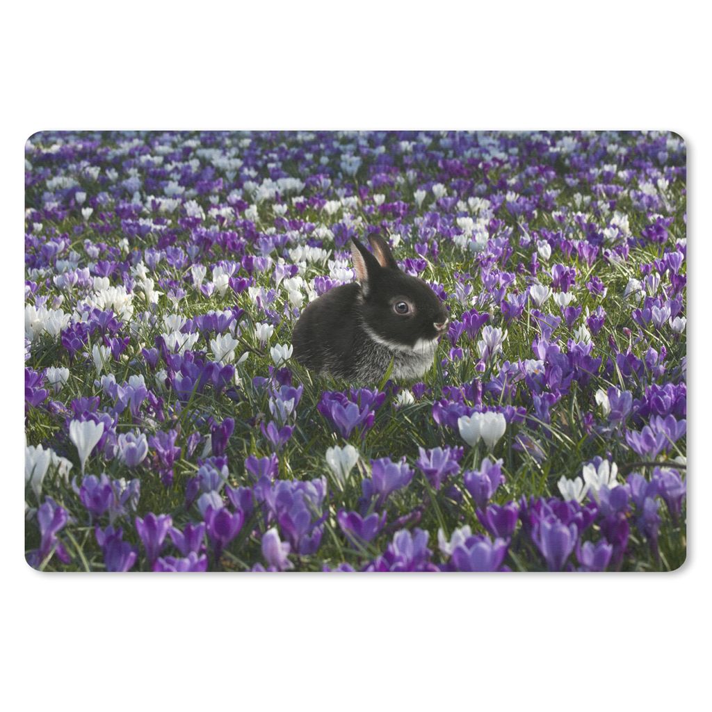 MuchoWow Schreibtischunterlage Kaninchen - Blumenfeld - Lila 60x40 cm - XXL Mauspad - Großes Mauspad