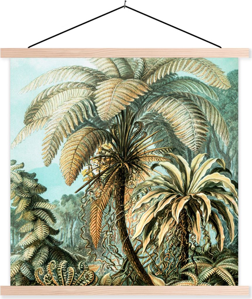 MuchoWow Textilposter Palme - Ernst Haeckel 120x120 cm mit holzfarbenen Rahmen - Textil-Poster