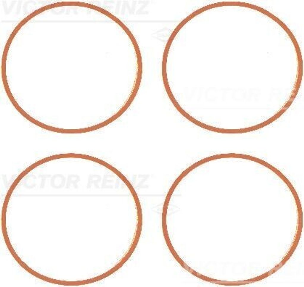 REINZ 11-77639-01 Dichtungssatz Ansaugkrümmer für OPEL ANTARA für CHEVROLET CAPTIVA (C100, C140) für BUICK (SGM) REGAL II für BUICK REGAL Stuf...