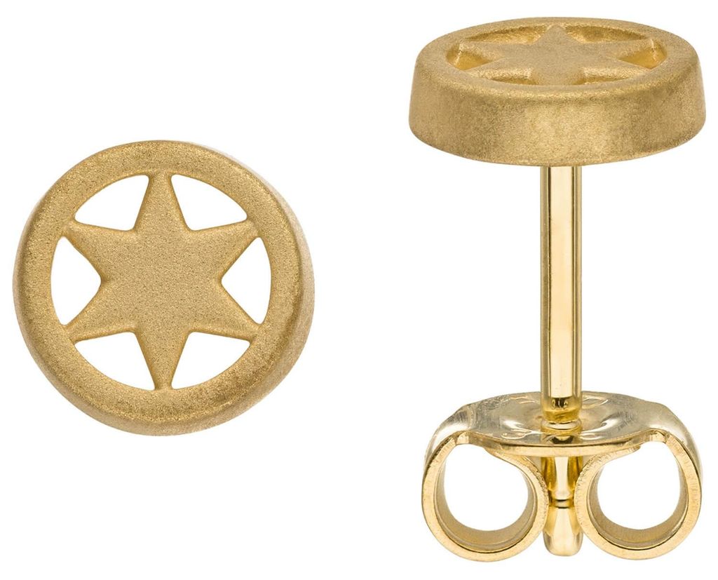 Kleine Ohrstecker Stern im Kreis Ø 6mm aus 375 Gold Gelbgold mattiert Ohrschmuck