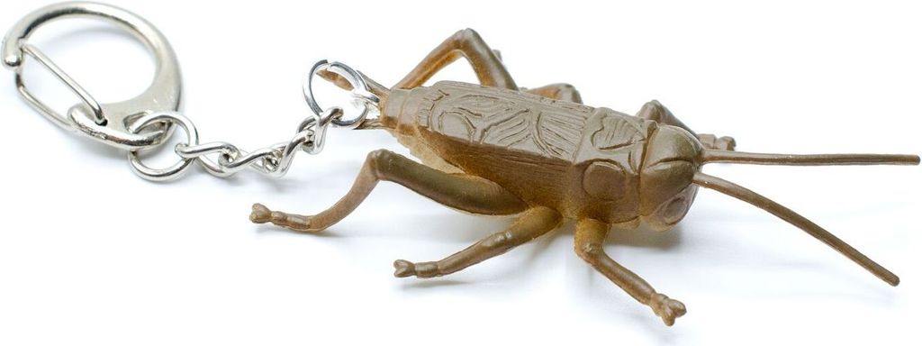 Grille Schlüsselanhänger Miniblings Halloween Insekt Zikade Schabe braun