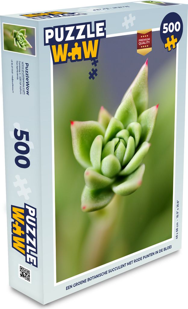 MuchoWow Puzzle 500 Teile Eine grüne botanische Sukkulente mit roten Spitzen in der Blütezeit - Denken - Spiel - Toy