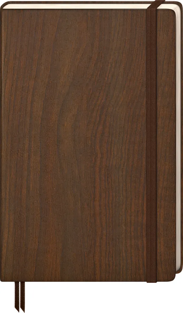 Finissez-en avec le désordre : carnet A5 pointillé BRUNNEN Nature marron