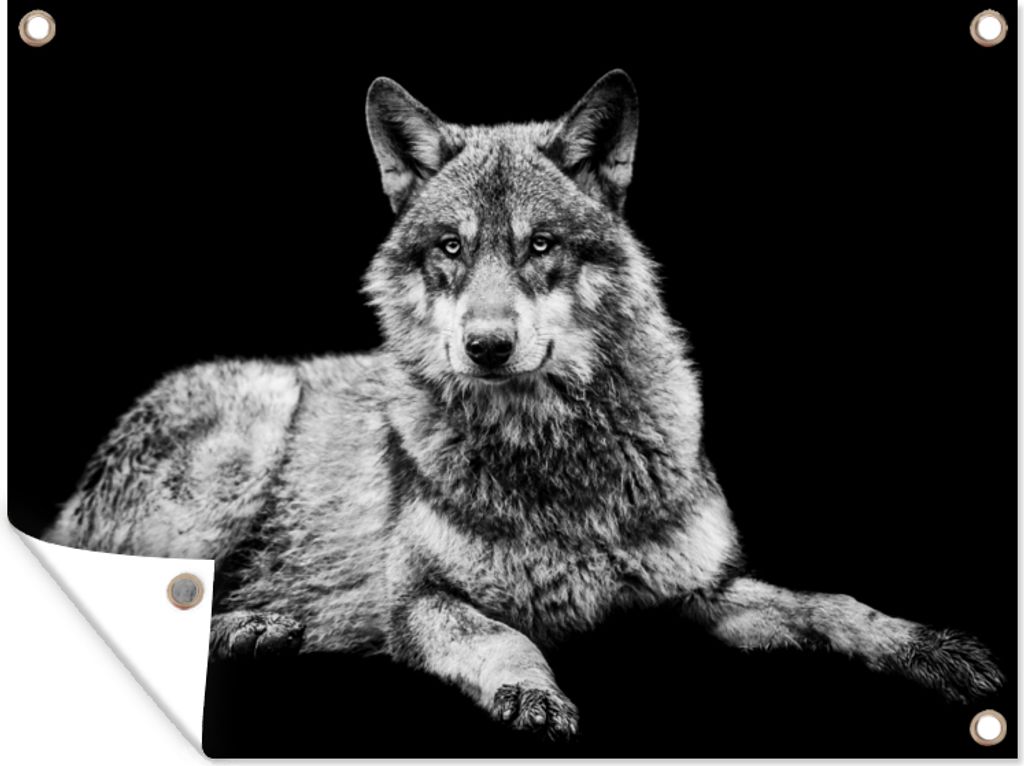 MuchoWow 120x90 cm Outdoor-Poster Gartendeko Sichtschutz Garten Poster für den Garten Wildlife - Wolf - Schwarz - Weiß