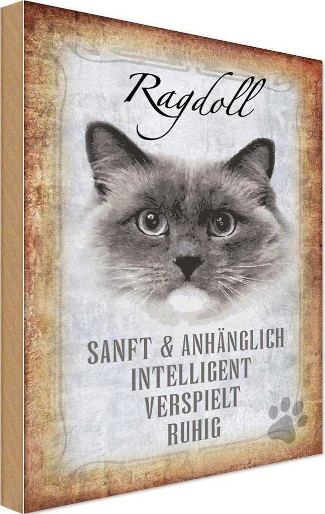 vianmo Holzschild 30x20 cm Ragdoll Katze sanft Tier Haustier
