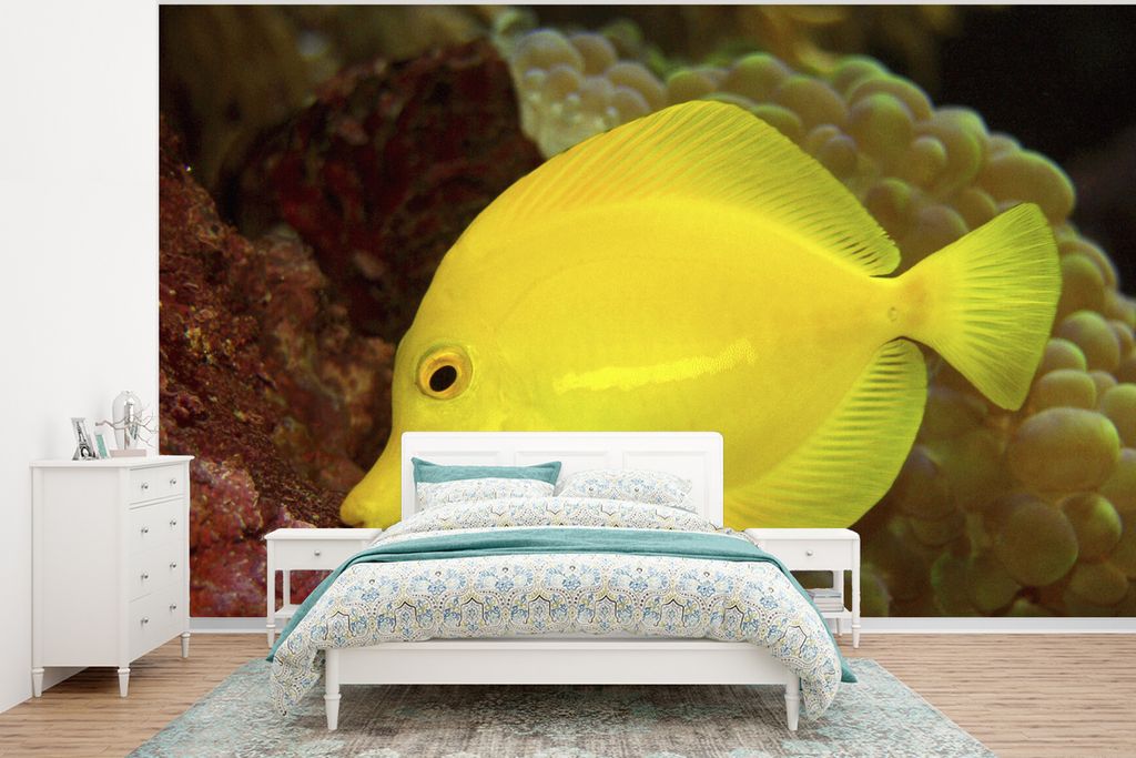 MuchoWow Fototapete für Wohnzimmer oder Schlafzimmer Wandtapete Vinyl Motivtapete Fisch - Gelb - Koralle - 350x260 cm - Wohnzimmer-Tapete