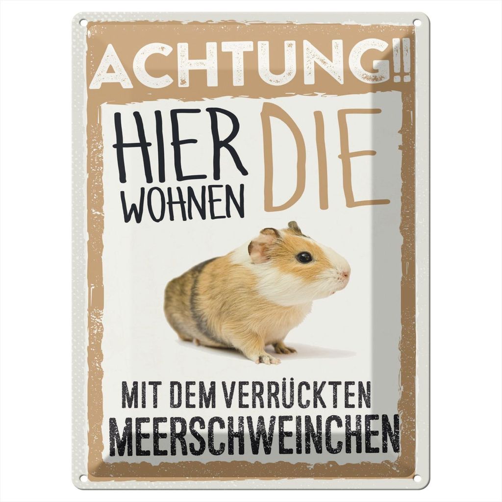 Blechschild Wandbild in : Brillante Farben, Größe 30 x 40 cm Motiv Blechschild Spruch 30x40cm Tiere Achtung hier Meerschweinchen