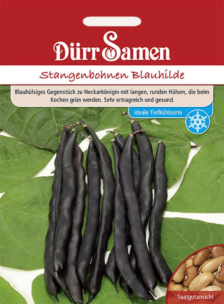 Dürr-Samen - Stangenbohnen Blauhilde - Saatgut - 0317 Produktbild 