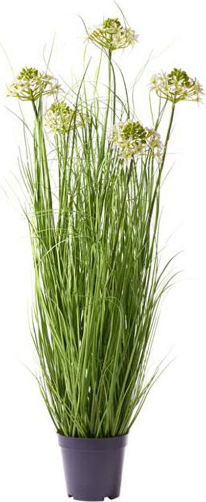 Gras im Topf mit Blüten, ca. 65 cm