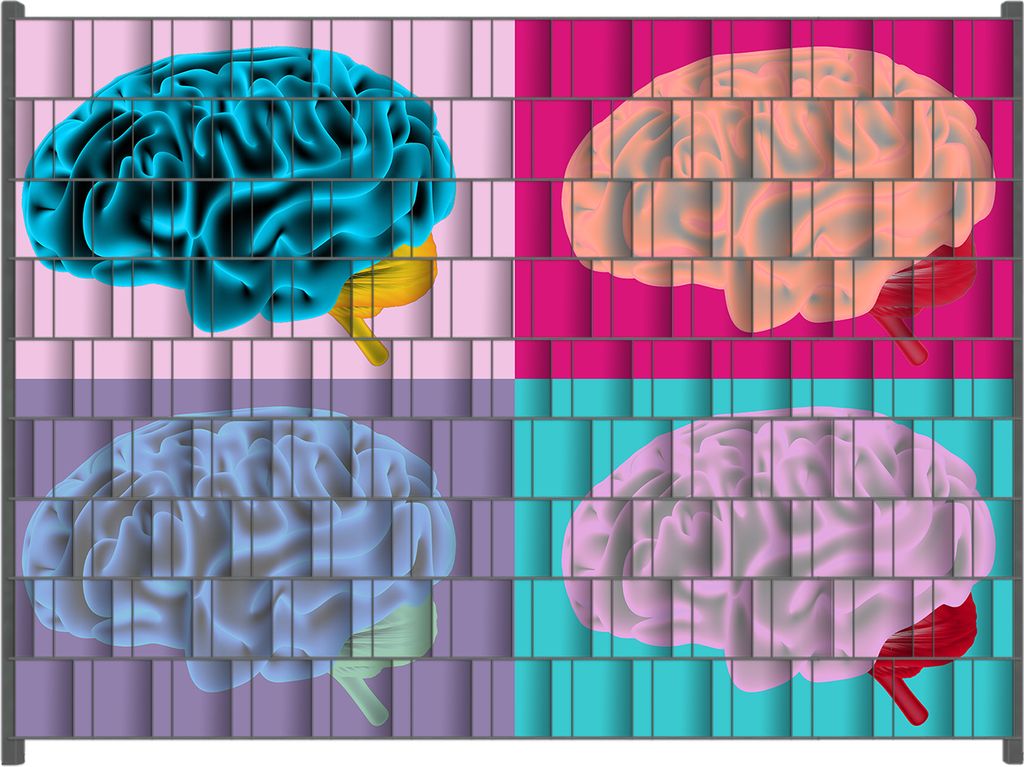 Wallario Zaunsichtschutz mit Motiv Menschliches Gehirn im Pop Art Stil für Ein- und Doppelstabmatten Zäune in der Größe 250 x 180 cm