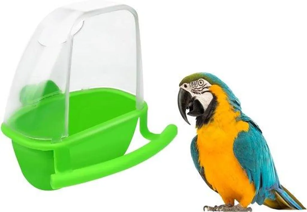 Mangeoire suspendue pour nourrir les oiseaux verts durant tout l'hiver