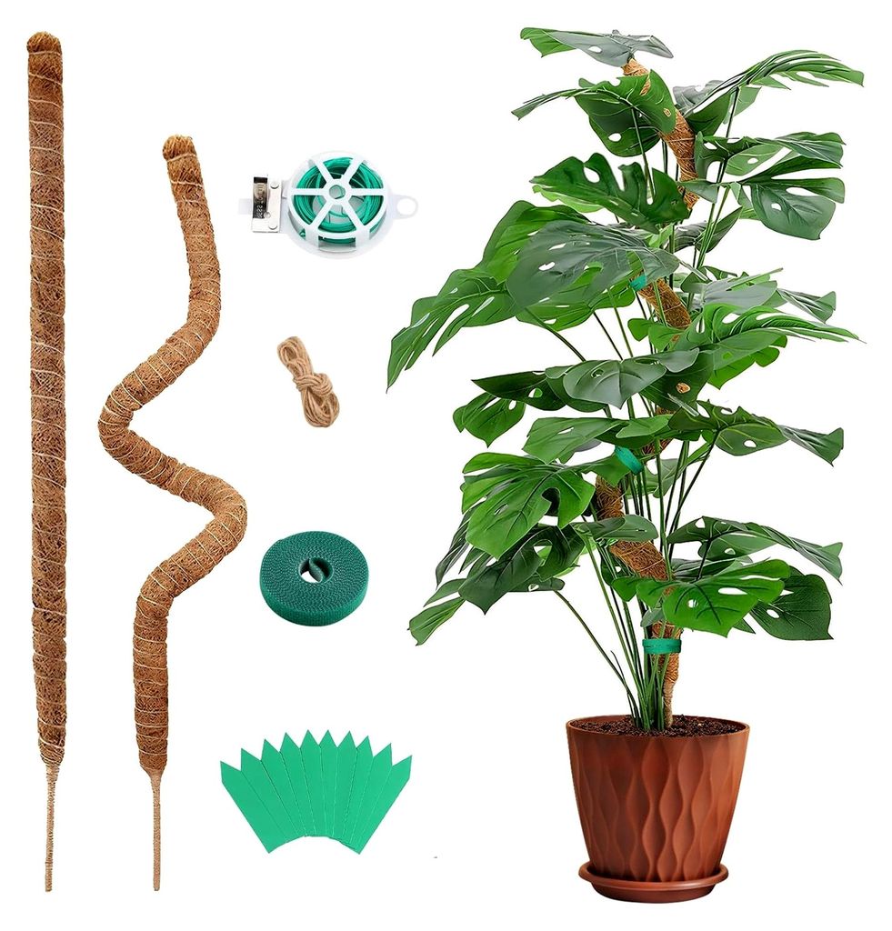 70CM 2 Stück Monstera Rankhilfe Pflanzenstab Kokosstab Pflanzenstütze Moosstab erweiterbar
