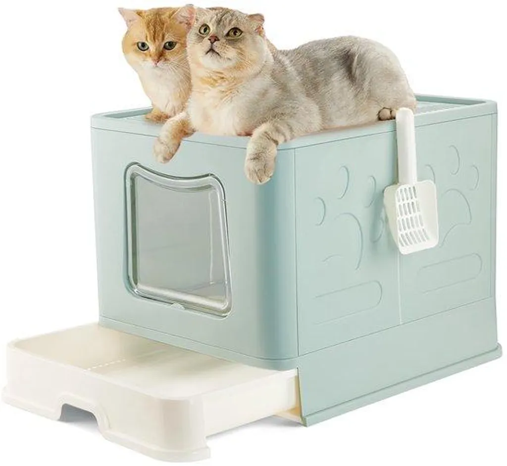Cage de transport XL chat bleue pour voyage longue distance en voiture