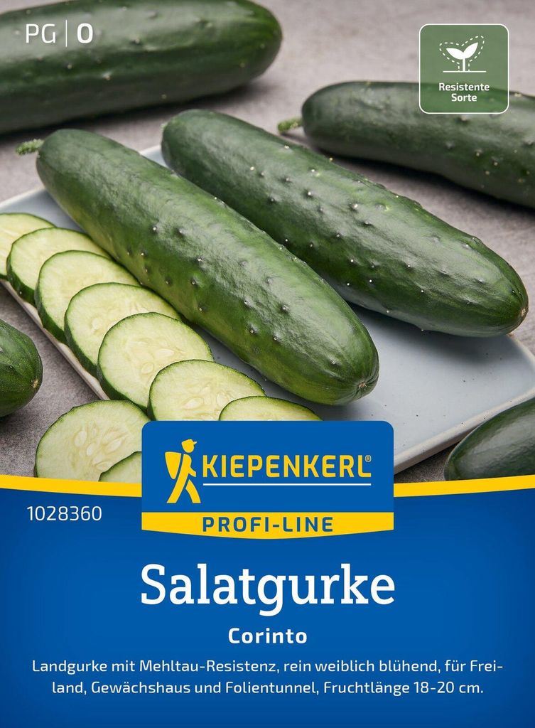 Artikelbild 2 von 'Salatgurke Corinto F1' aus der Kategorie Salatgurkensamen