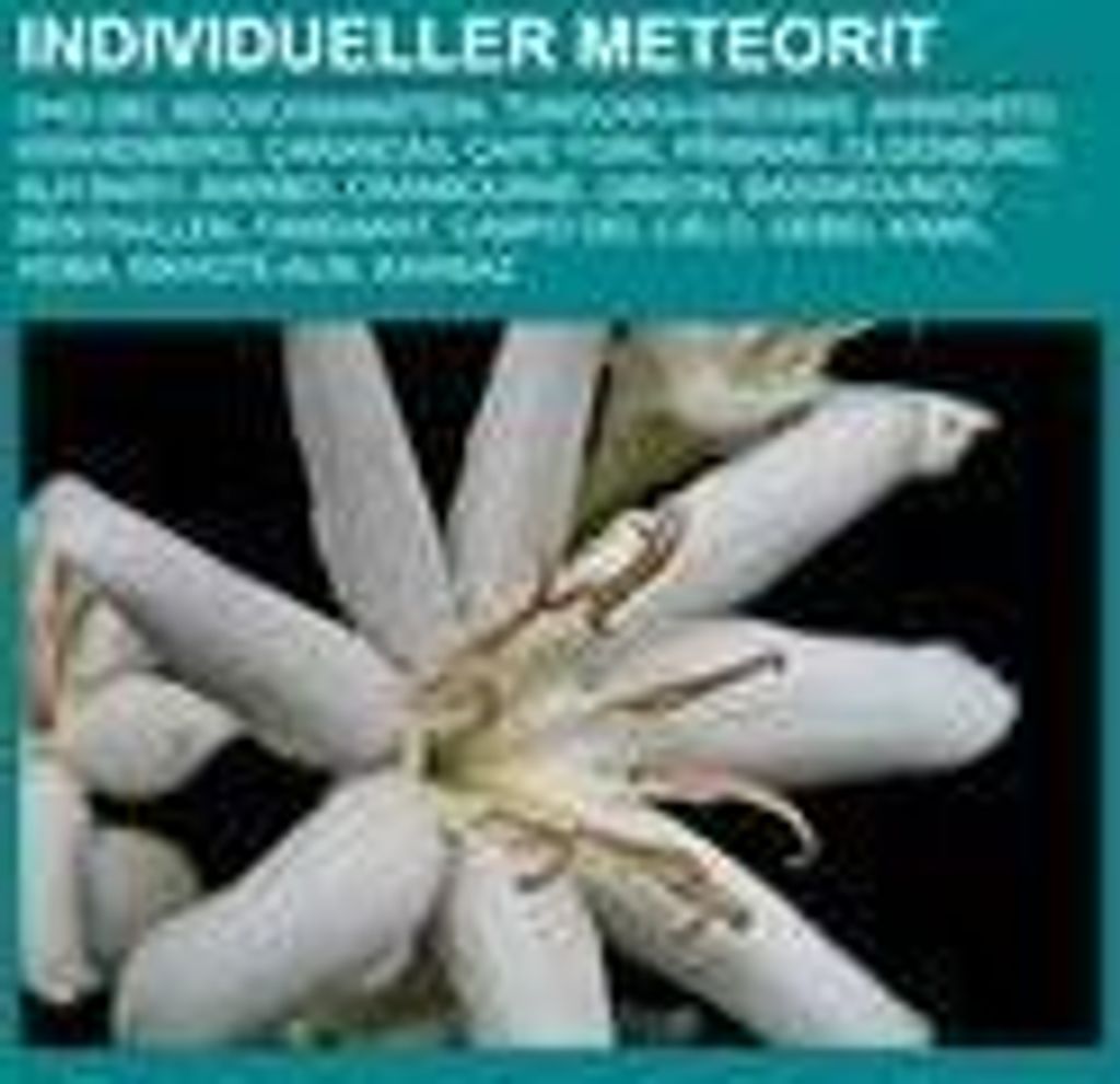Individueller Meteorit