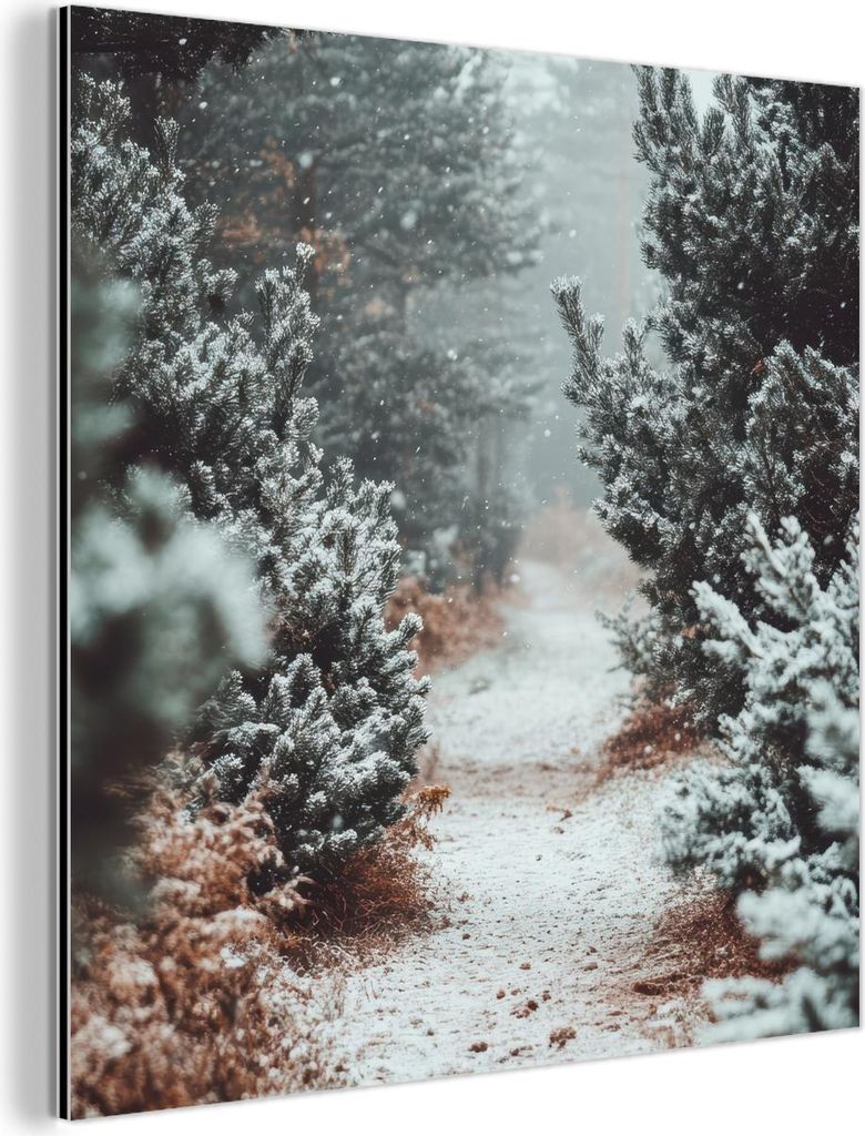 MuchoWow Wanddekoration Metall Metallbild Wandkunst 50x50 cm Wald - Winter - Bäume - Natur - Weg - Schnee MuchoWow Aluminium Gemälde - Alubild - ...